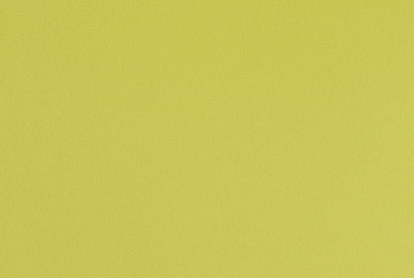 Silk Grapefruit